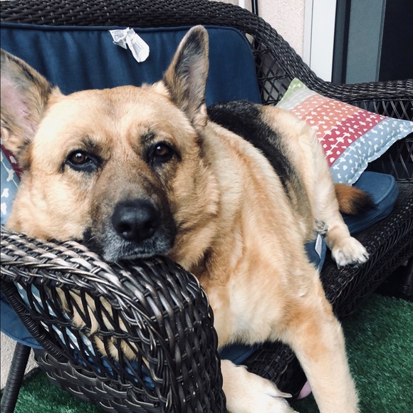 Meet your Posher, Tiff - Picture 1 of 1